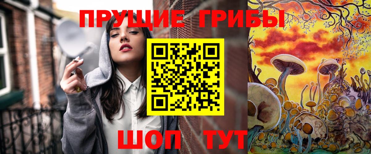 Псилоцибиновые грибы Psilocybe Сальск