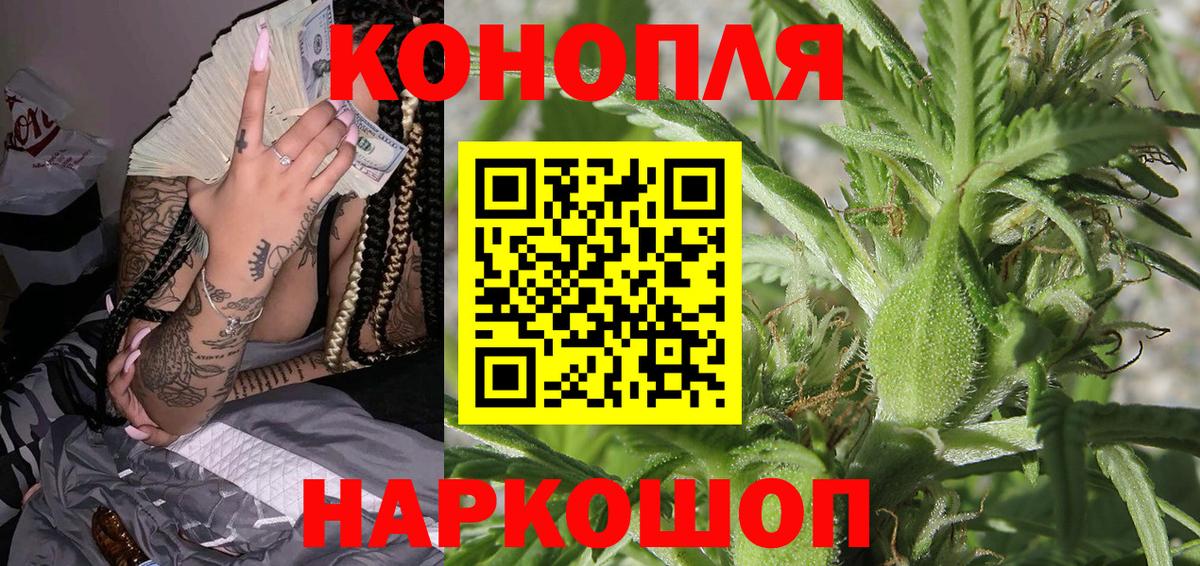 МАРИХУАНА конопля Сальск